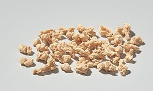Soja Protein Texturat fein